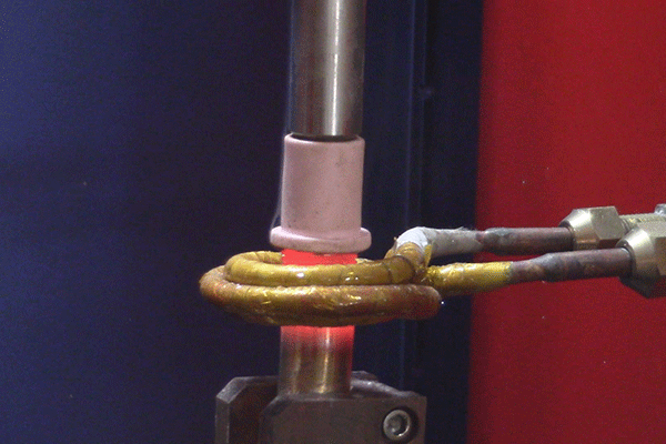 1540433641545749.png 1.png