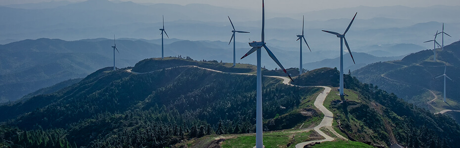 10343220563652.jpg case22.jpg